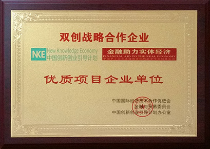 雙創(chuàng )戰略合作企業(yè)